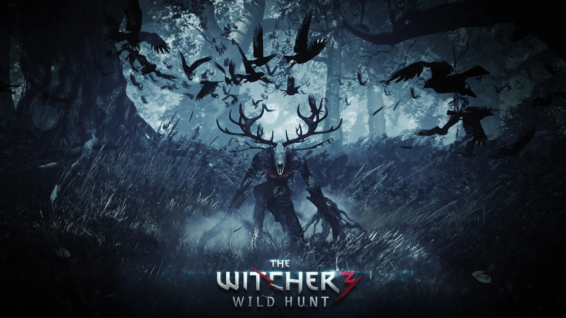 The Witcher 3: Wild Hunt